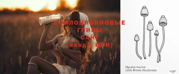 винт Баксан