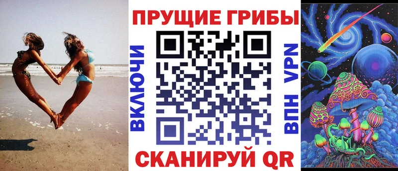 Псилоцибиновые грибы Magic Shrooms  купить  сайты  Кувандык 